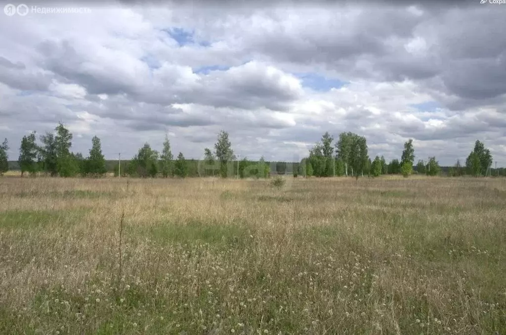 Участок в Поспеловское сельское поселение, посёлок Луговой (10 м) - Фото 0