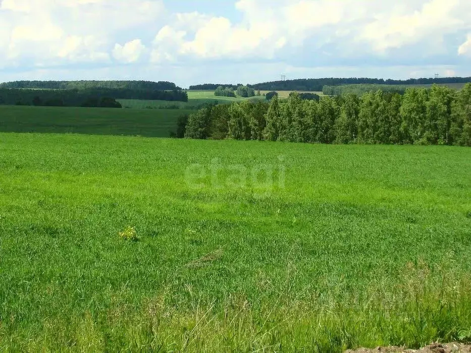 Участок в Хабаровский край, Хабаровск Березка-2 СНТ,  (6.0 сот.) - Фото 2