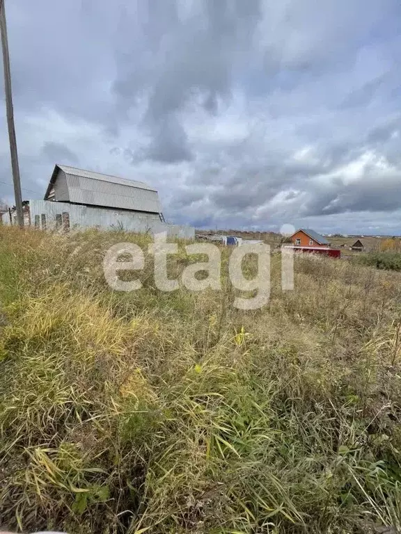Участок в Красноярский край, Емельяновский муниципальный округ, Луч ... - Фото 1