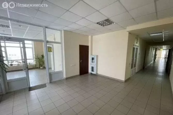 Помещение свободного назначения (29 м) - Фото 1