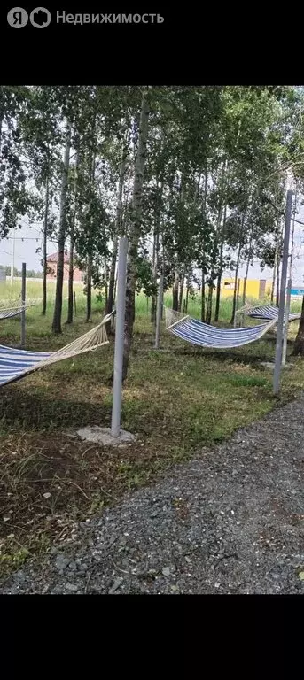 Участок в Ордынский район, коттеджный посёлок Пичугово море, Лучистая ... - Фото 2