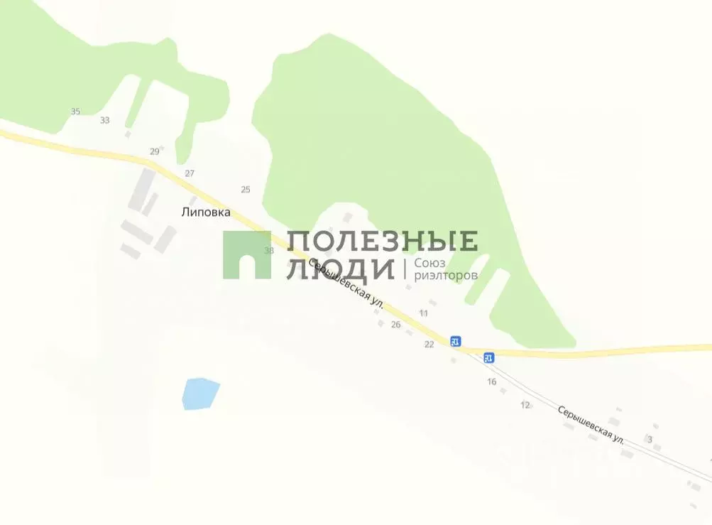 Участок в Амурская область, Серышевский муниципальный округ, с. ... - Фото 2