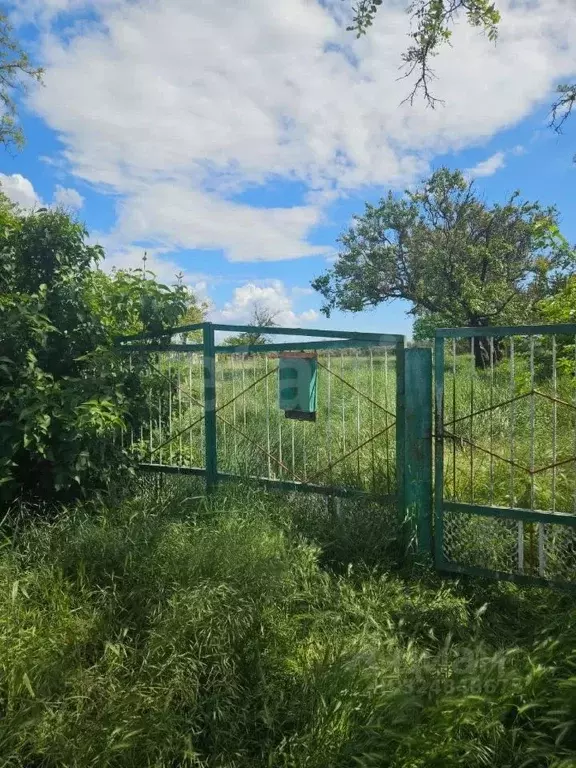 Участок в Краснодарский край, Анапа муниципальный округ, Красный ... - Фото 2