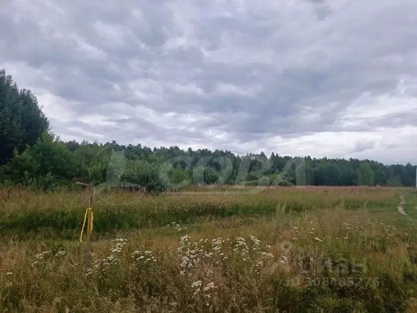 Участок в Тюменская область, Нижнетавдинский район, Земляника кп  ... - Фото 1