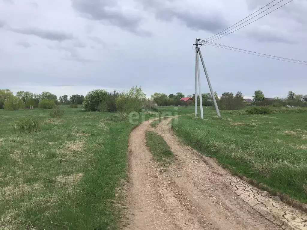 Участок в Новгородская область, Шимское городское поселение, д. Мстонь ... - Фото 1