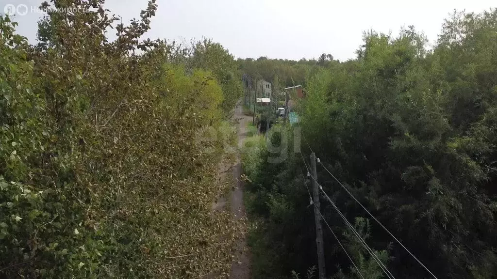 Участок в Камчатский край, Елизовский муниципальный округ, ... - Фото 2