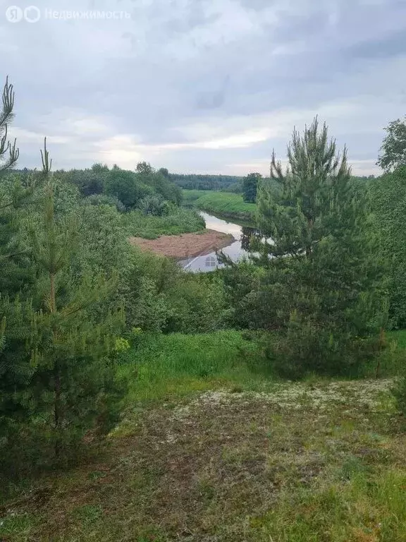 Дом в Новгородская область, Крестецкий муниципальный округ, деревня ... - Фото 1