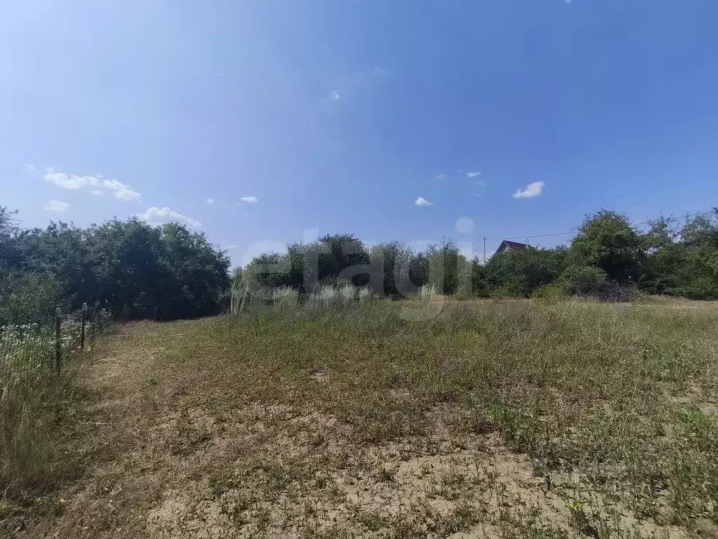 Участок в Белгородская область, Белгородский район, Тавровское с/пос, ... - Фото 1