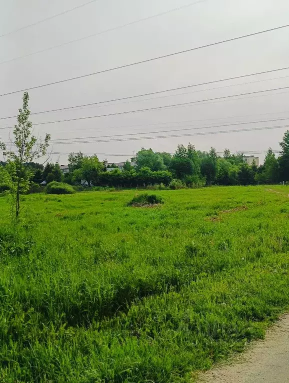 Участок в Московская область, Орехово-Зуевский городской округ, д. ... - Фото 0