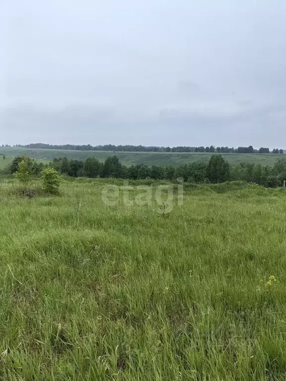 Купить Дом В Митино Новокузнецк