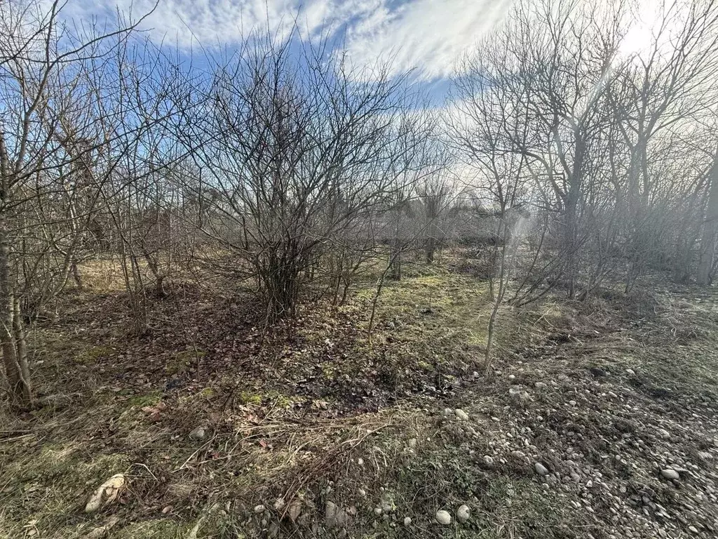 Участок в Адыгея, Майкопский район, Краснооктябрьское с/пос, пос. ... - Фото 1