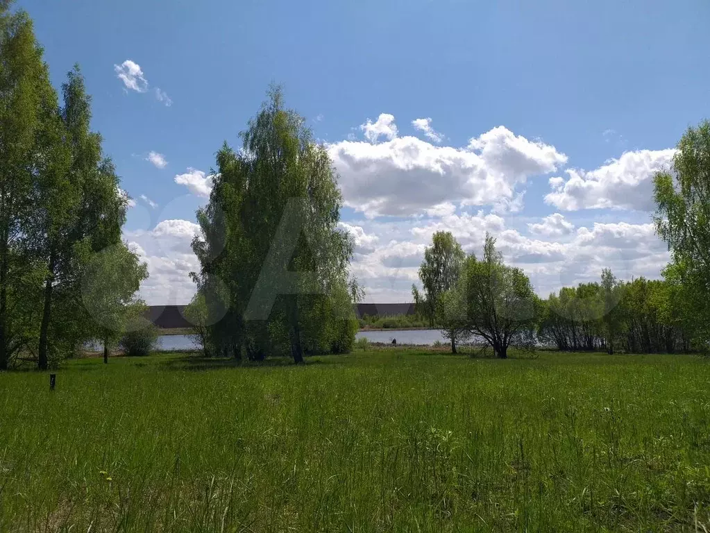 Участок 5,3 га (ИЖС) - Фото 1