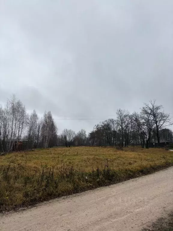 Участок в Московская область, Серпухов городской округ, с. Турово ул. ... - Фото 1