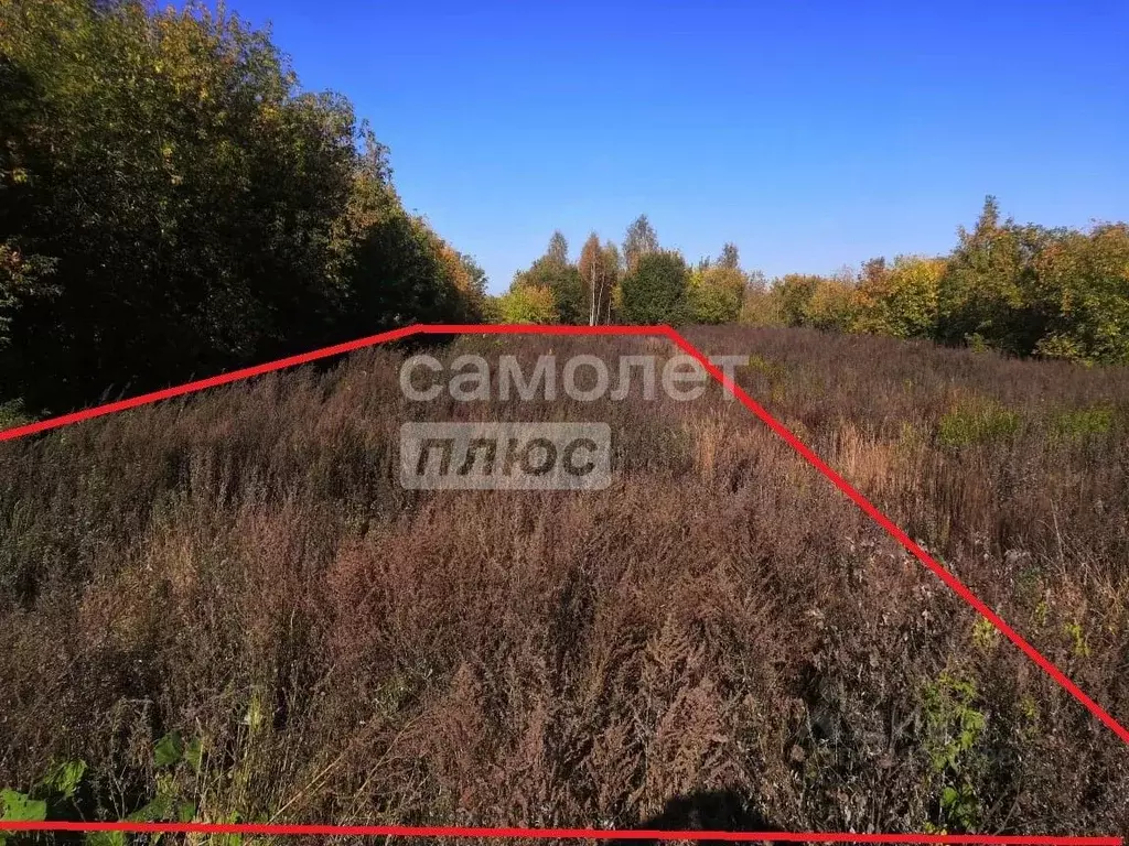 Участок в Московская область, Клин городской округ, д. Медведково  ... - Фото 0