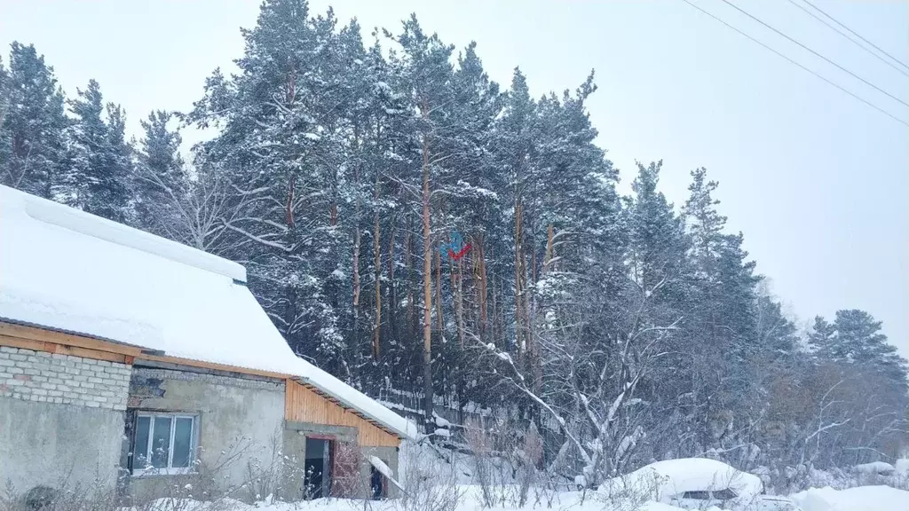 Погода казачий алтайский край