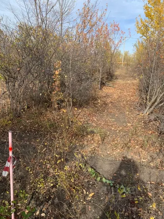 Участок в Саратовская область, Саратов проезд 9-й Назаровский (6.0 ... - Фото 1