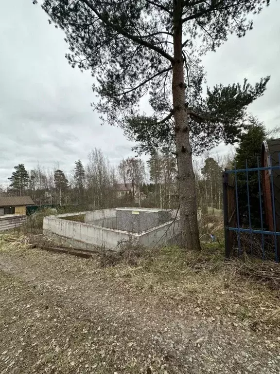 Участок в Ленинградская область, Всеволожский район, Лесколовское ... - Фото 0