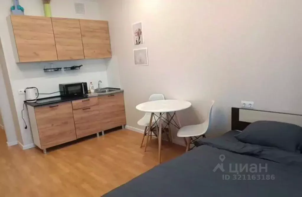 Студия Мордовия, Саранск ул. Анны Лусс, 7В (26.5 м) - Фото 2