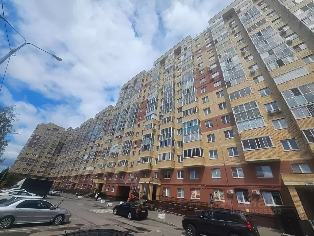 Студия Московская область, Раменское ул. Молодежная, 28А (30.0 м) - Фото 1