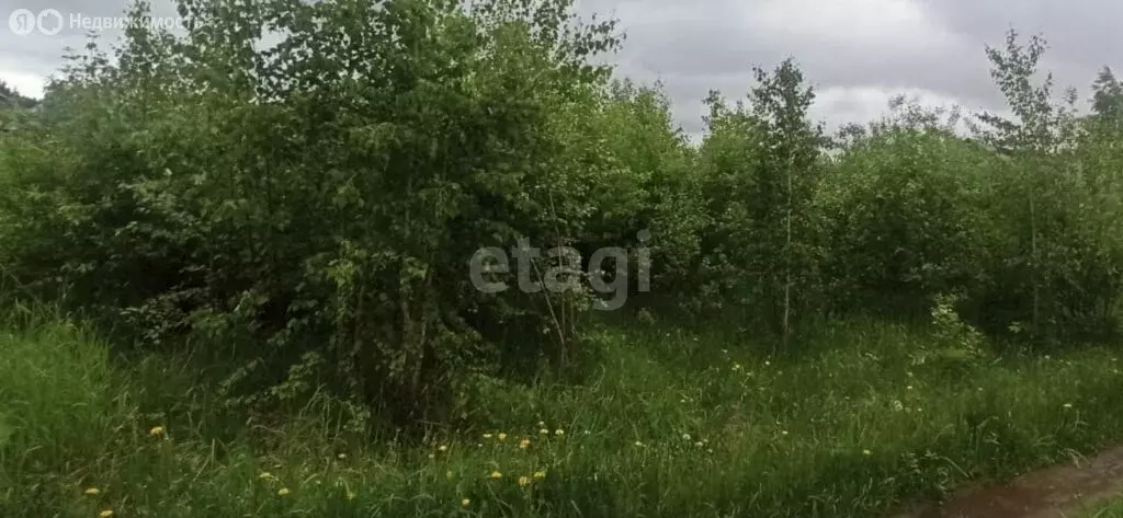 Участок в Завьяловский район, деревня Новое Мартьяново (17.2 м) - Фото 1