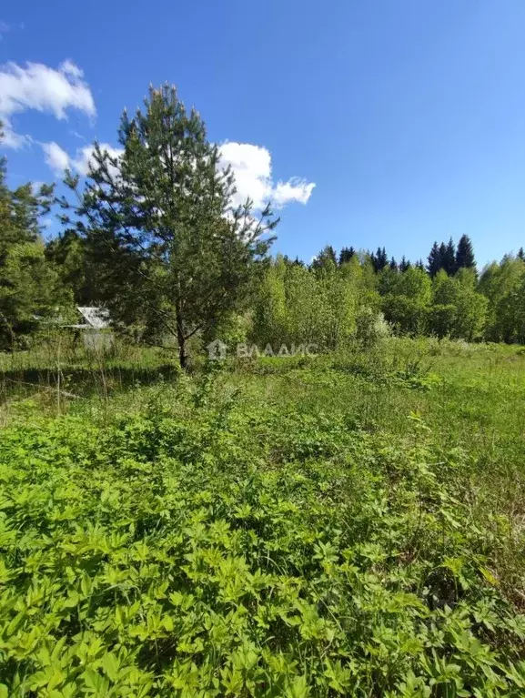 Участок в Пермский край, Пермь № 65-А Банная Гора СНТ, 113 (5.24 сот.) - Фото 1