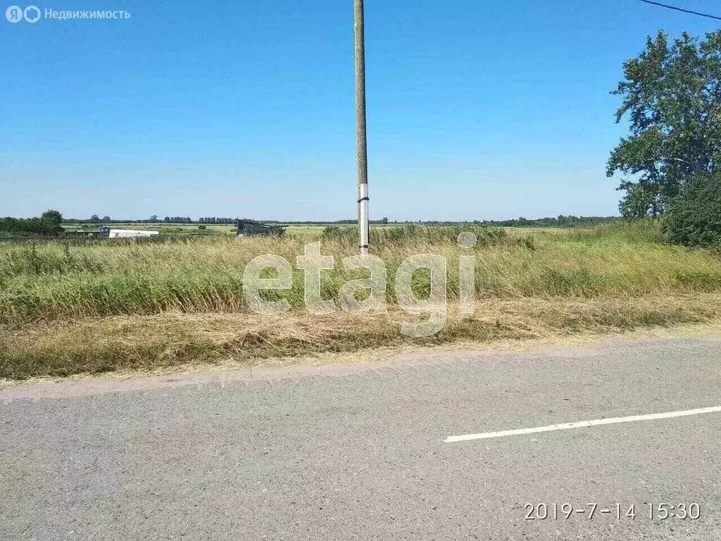 Участок в Исетский район, деревня Пастухова, Центральная улица (15.4 ... - Фото 1