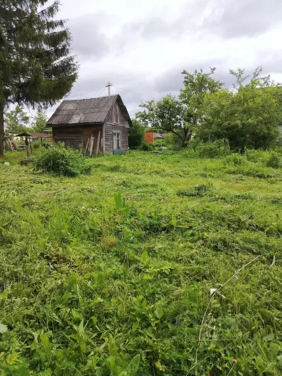 Участок в Вологодская область, Авиатор садоводческое товарищество  ... - Фото 1
