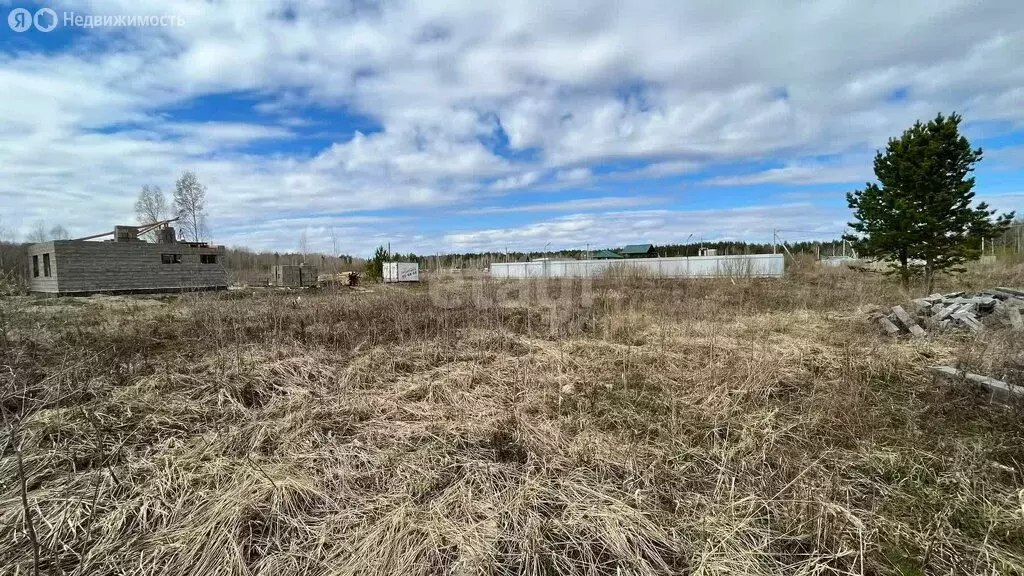 Участок в село Тюнево, Новогодняя улица (12 м) - Фото 0