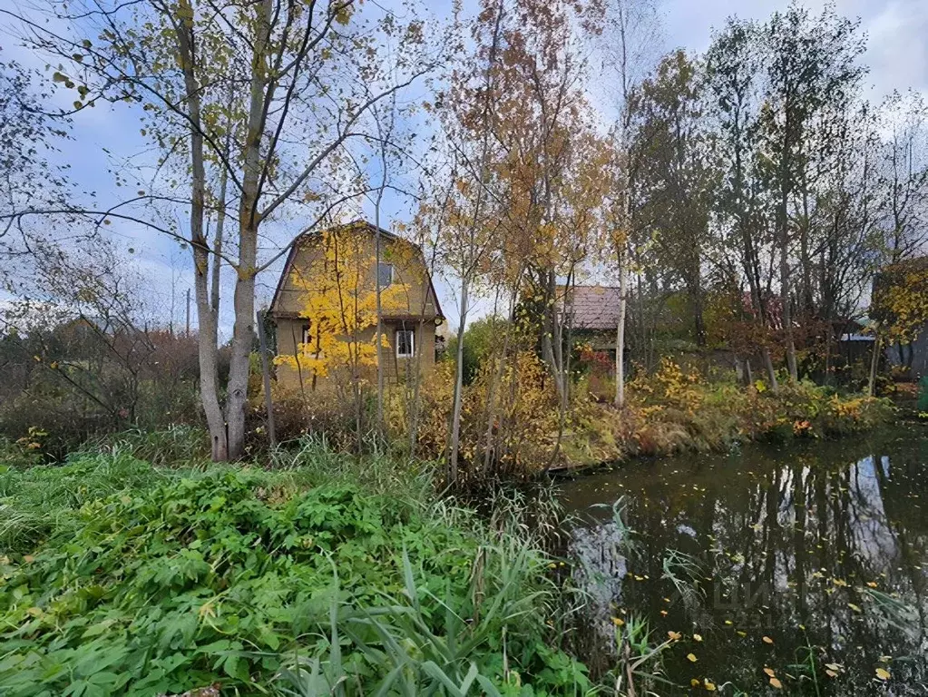 Дом в Ленинградская область, Ломоносовский район, Лебяженское ... - Фото 1
