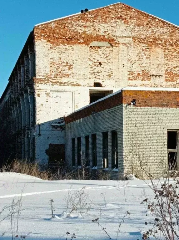 Производственное помещение в Свердловская область, Белоярский ... - Фото 1