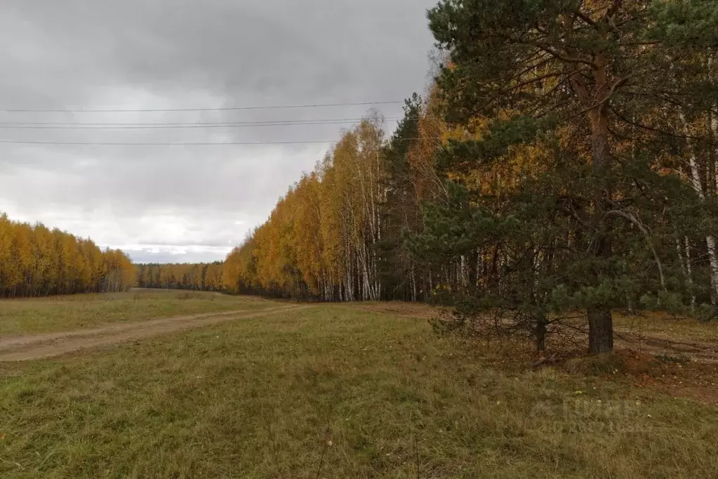 Участок в Нижегородская область, Балахнинский муниципальный округ, д. ... - Фото 2