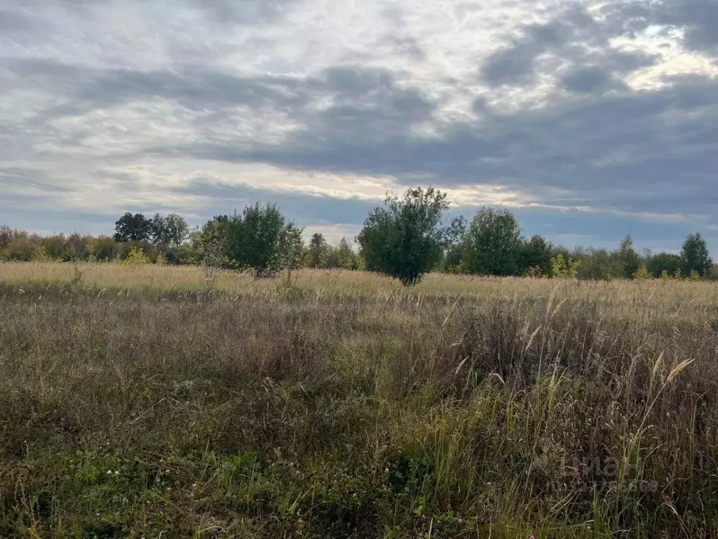 Участок в Татарстан, Лаишевский район, Рождественское с/пос, д. ... - Фото 2