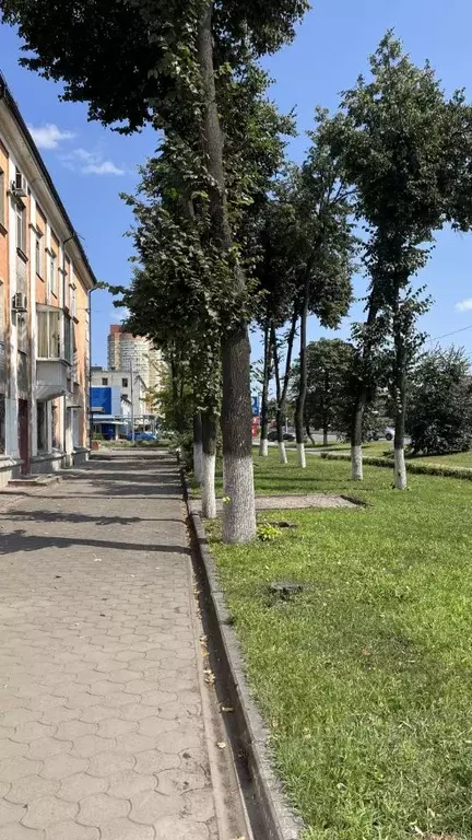 Помещение свободного назначения в Брянская область, Брянск Московский ... - Фото 2