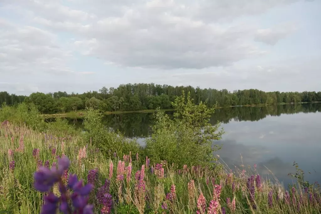Участок в Московская область, Коломна городской округ, с. Бояркино  ... - Фото 0