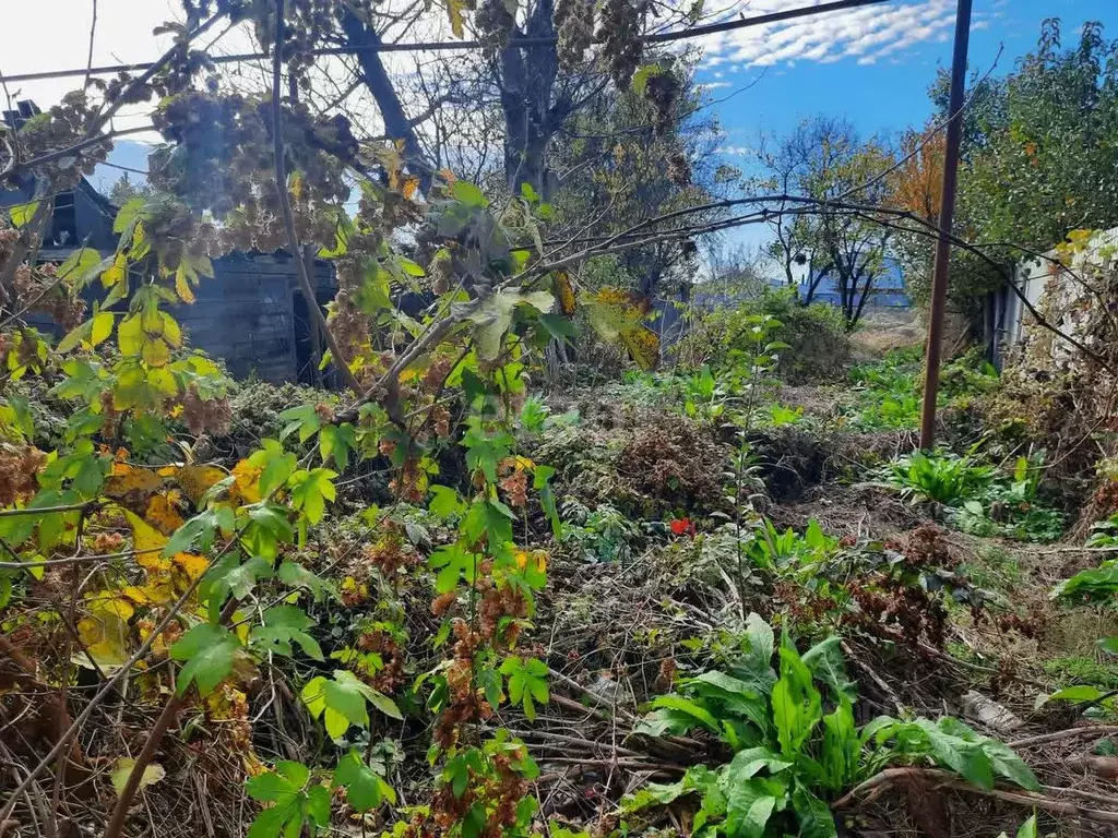 Участок в Краснодарский край, Ейск ул. Гоголя (6.94 сот.) - Фото 1