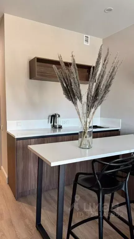 Студия Московская область, Одинцовский городской округ, Заречье пгт ... - Фото 2