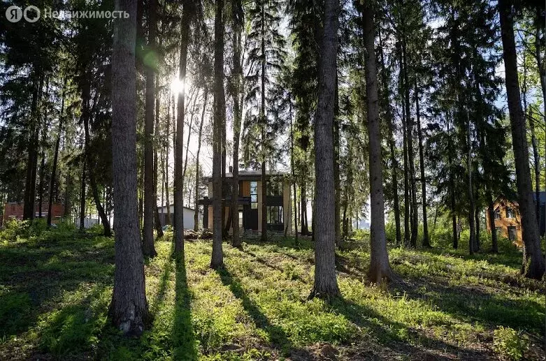 Участок в Химки, КП Сходня форест парк (6.01 м) - Фото 0