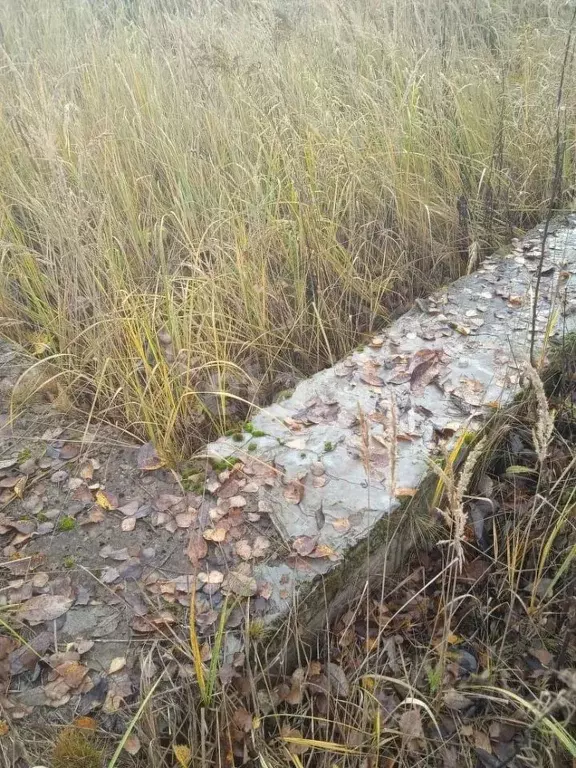 Участок в Калужская область, Кондрово Дзержинский район, ул. Юбилейная ... - Фото 0