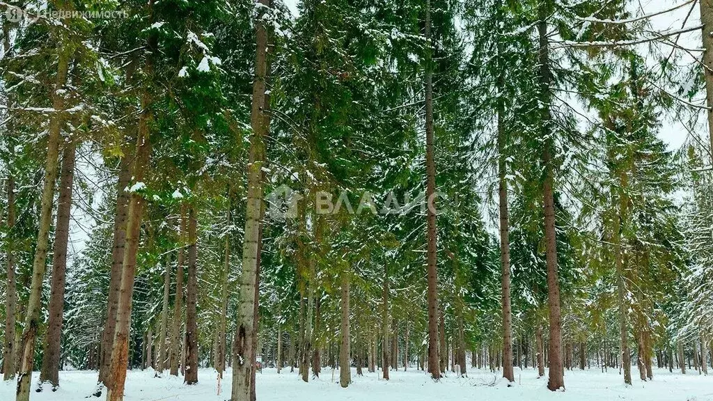 Участок в Московская область, городской округ Клин, посёлок Раздолье ... - Фото 1