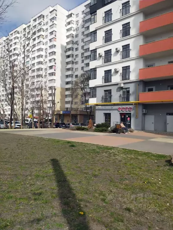 Помещение свободного назначения в Краснодарский край, Новороссийск ... - Фото 1