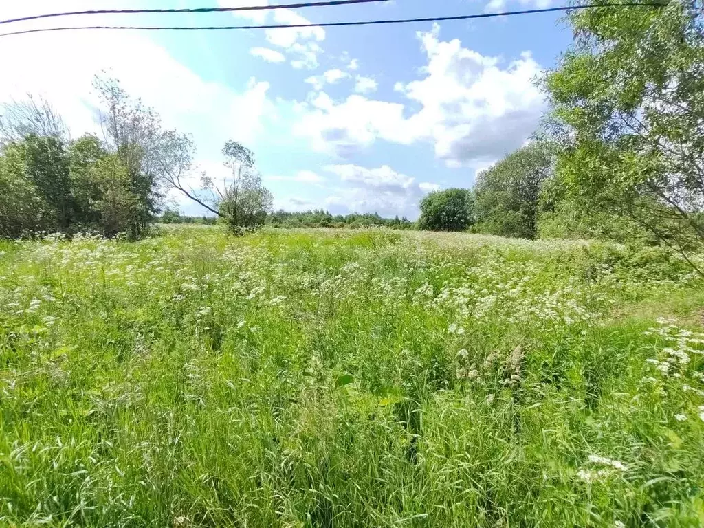 Участок в Вологодская область, Череповец 122-й мкр,  (7.9 сот.) - Фото 1