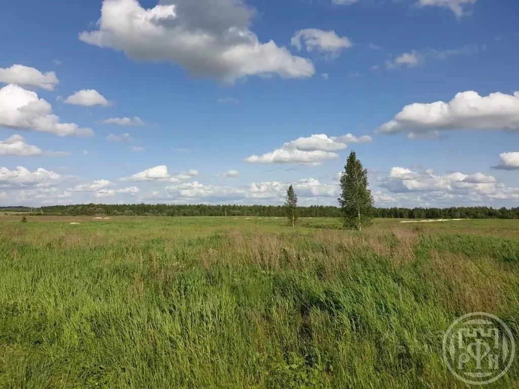 Участок в Ленинградская область, Ломоносовский район, Виллозское ... - Фото 1