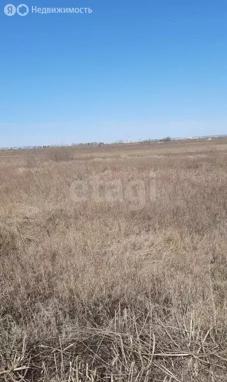 Участок в Амурская область, Благовещенский муниципальный округ, ... - Фото 1