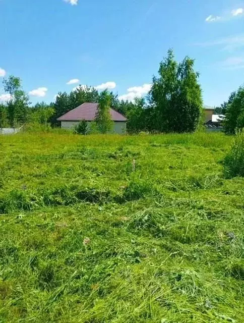 Участок в Московская область, Воскресенск городской округ, Имени ... - Фото 1