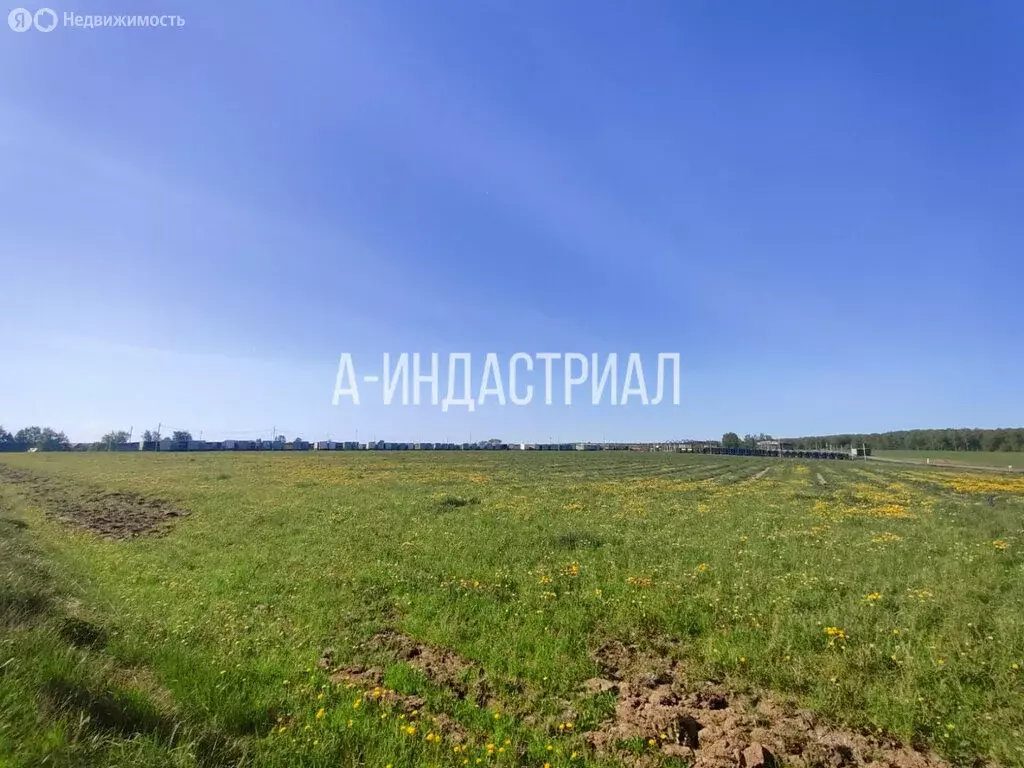 Участок в Московская область, городской округ Домодедово, деревня ... - Фото 2