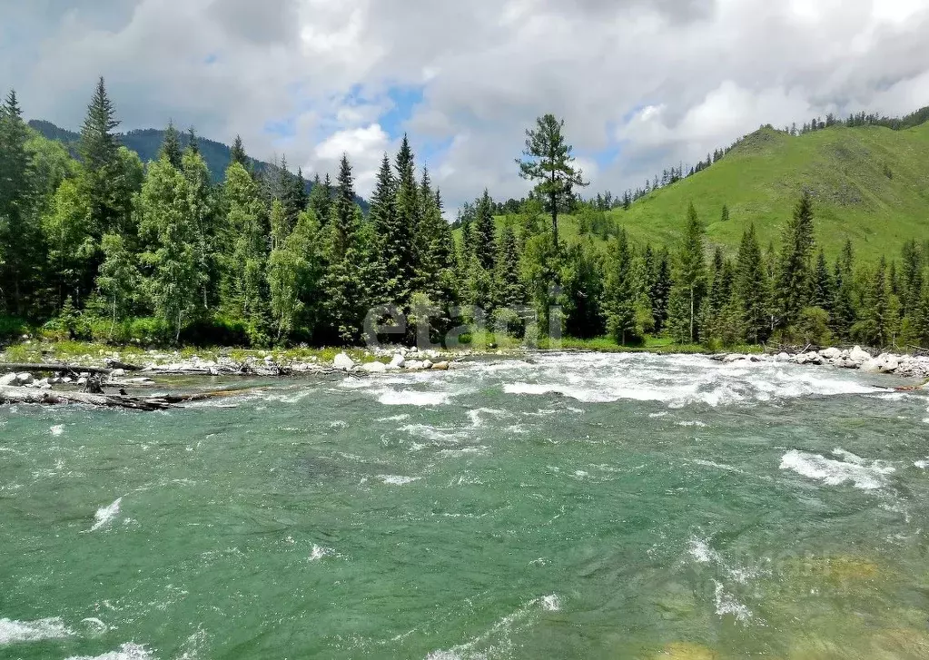 Участок в Алтай, Усть-Коксинский район, с. Мульта Школьная ул. (1025.0 ... - Фото 1
