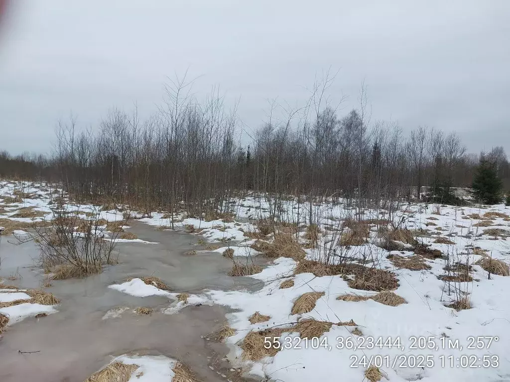 Участок в Московская область, Наро-Фоминский городской округ, д. ... - Фото 0