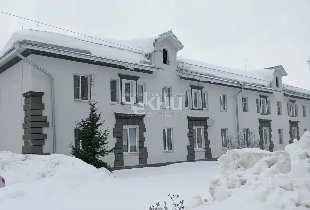 3-к кв. Нижегородская область, Балахнинский муниципальный округ, ... - Фото 2