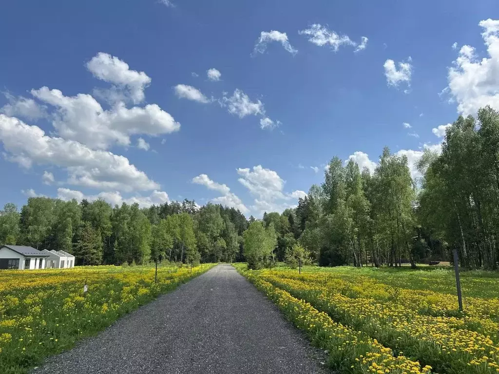 Участок в Московская область, Истра муниципальный округ, д. Дубровское ... - Фото 2