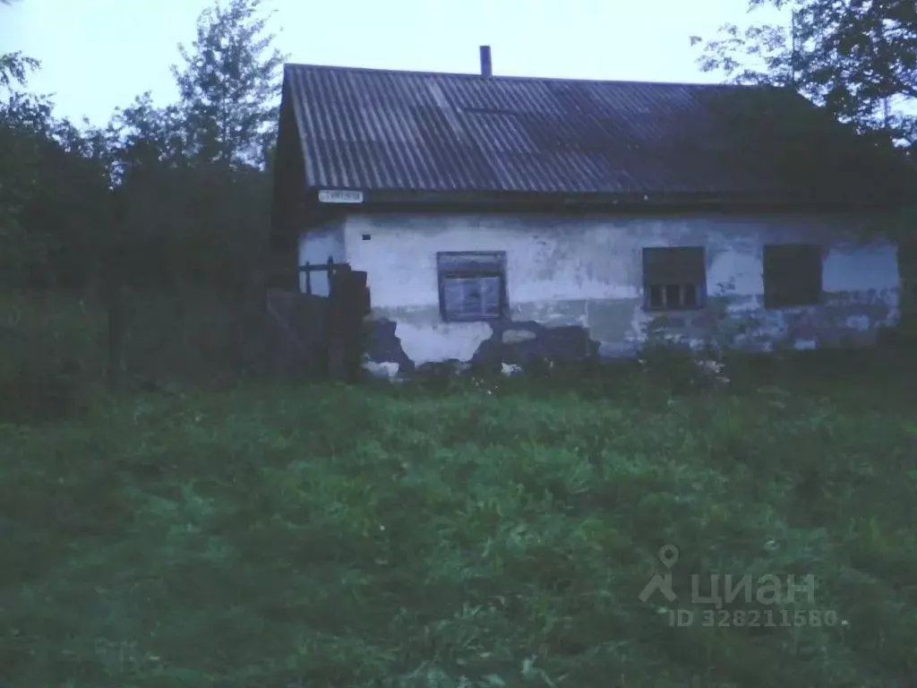 Дом в Ивановская область, Юрьевец ул. Тургенева, 47 (52 м) - Фото 2